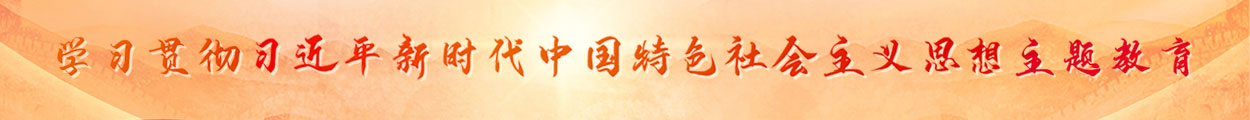 學習貫徹習近平新時代中國特色社會主義思想主題教育